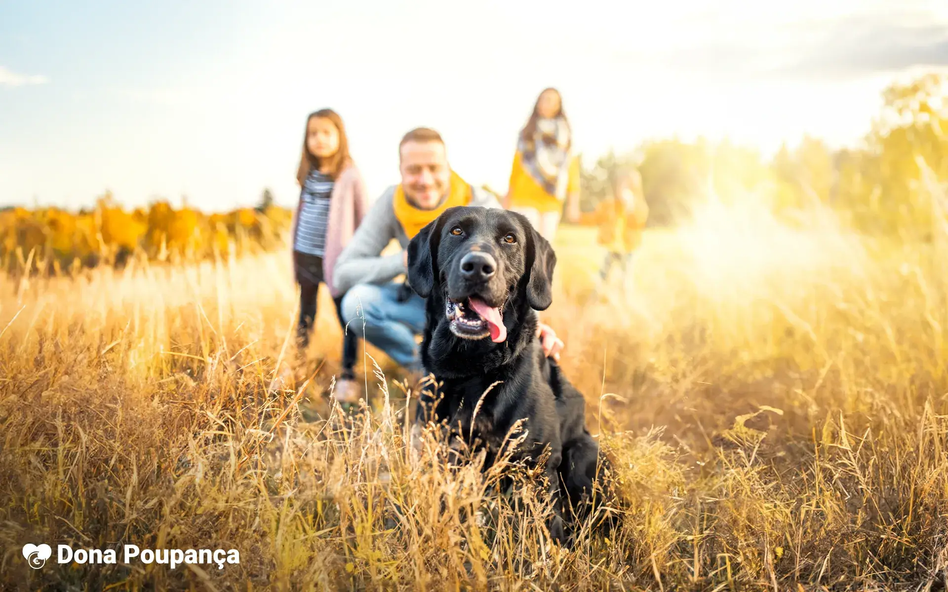 dona poupanca financas pessoais animais estimacao impacto orcamento familiar 2